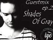 Iyecast guestmix shades gray