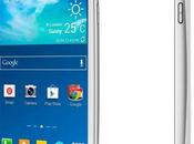Smartphone popolare: Samsung Galaxy