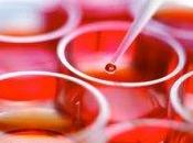 Stamina: stop definitivo alla sperimentazione