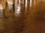 Chiavari: alluvione. #allertameteoLIG. Sindaco: tutti piani alti