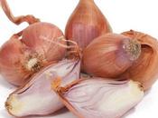 Sapete dove deriva detto “Portare scarogna”?