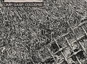 Sss, limp.gasp.collapse.