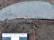 antico rasoio siberiano