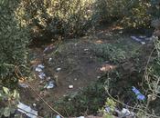 Foto spaventose. Colosseo monumento importante mondo, perché verde pubblico attorno ridotto questa maniera?