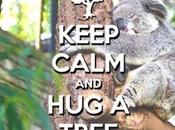 Oggi #festadellalbero. #Abbraccialo. alberi, meno cemento