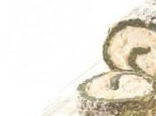 Roulade agli spinaci