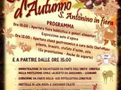 novembre 2014 MERCATINO a…Lonate Pozzolo (Sant’Antonino Ticino)