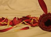 spacca coppia FB...nasce un'opportunità marketing