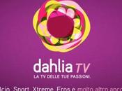 Dahlia termina definitivamente trasmissioni