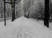 Orme nella neve Viale Angeli Cuneo