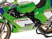 Kawasaki A.Mang 1981 World Champion Minichamps
