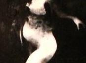 stremo delle voci annesse