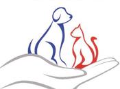 stagione della prevenzione-a marzo gratis veterinario
