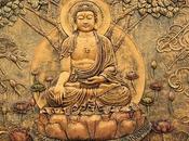 Frasi Illuminanti Buddha"