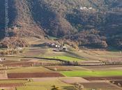 colore campi