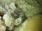 anche Rotolo! 15.11.2014