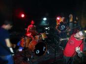 Gerda sedes 23/11/2014