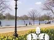 parchi Londra: Hyde Park