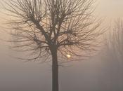 Nebbia Padana? riscaldamento globale