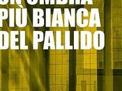 SEGNALAZIONE Un'ombra bianca pallido Michele Giocondi