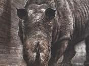 Artists Rhino artisti uniti contro l’estinzione rinoceronti