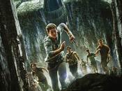 Maze Runner labirinto