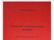 Viviana Scarinci Camera condizionamento