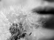 Soffio nostro intimo