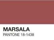 Colore dell'anno 2015: Marsala PANTONE 18-1438