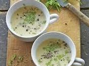 Vellutata leggera sedano rapa
