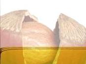 PIccola guida agli semi, quelli buoni salute