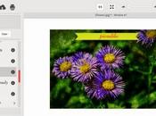 Picadilo: foto editing online gratuito