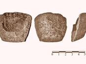 Vichinghi...canadesi?