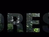 Forest with Multiplayer