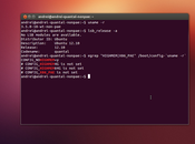 Installazione Fake PAE: Come installare Ubuntu hardware privo supporto PAE.