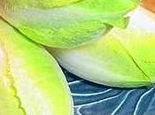 contrastare chili delle feste arrivano insalata belga, scarola indivia