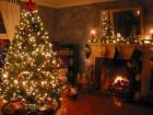 Natale impronta ecologica: l’albero compra, affitta