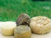 Spaghetti cacio pepe