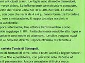 300.000 sembran pochi...