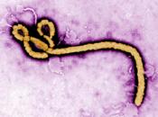Ebola: diagnosticato nuovo caso Scozia