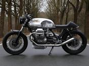 Guzzi