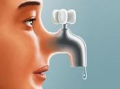 Secondo dove batte, segnala gatto, seminare frasconi, sentire Parole verbi disuso