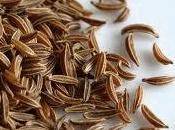 semi carminativi carvi coriandolo