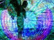 Guide spirituali terrene cosiglio settimana migliorare propria vita quella altrui