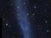 Breve filmato della cometa C2014 ovvero Love