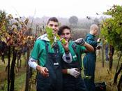 TORRAZZA COSTE (pv). Torna collaborazione Riccagioia-Enaip Voghera corso "Operatore della trasformazione agroalimentare-vitivinicoltura"