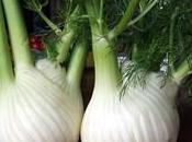 Infuso finocchio