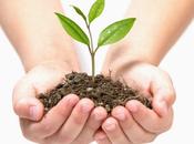 Educazione ambientale, materia obbligatoria tutte scuole 2016