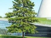 Delft Library