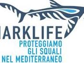 SharkLife: pescatori sportivi salvaguardia degli squali Mediterraneo